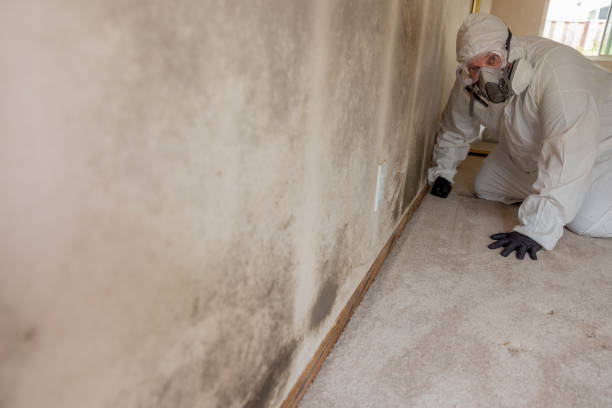Mold Removal for HVAC Installations in Tuttle, OK